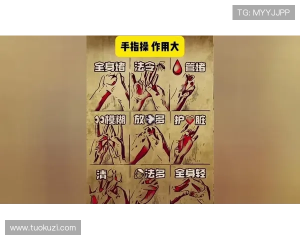 尊龙新版玩法规则新手指南，零基础玩家也能快速上手掌握核心玩法技巧