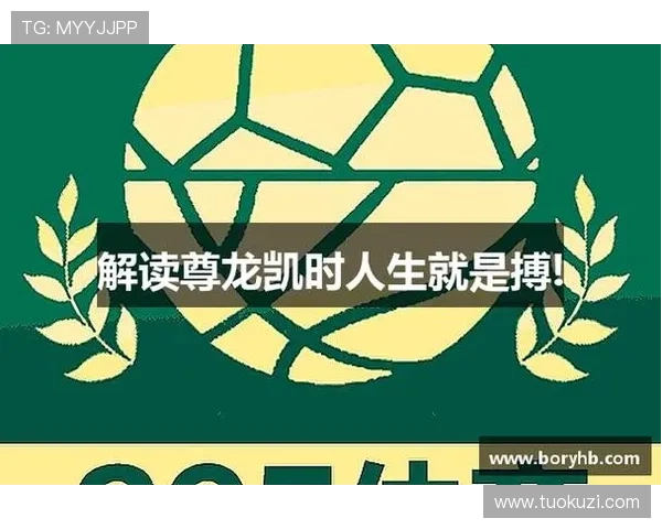 尊龙app电脑版下载官网提供最新安全稳定的软件下载指南与详细安装教程