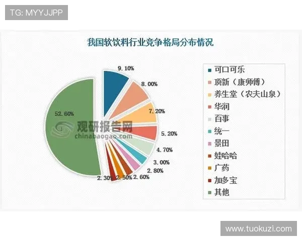尊龙z6集团全面介绍及其在行业中的领先地位分析